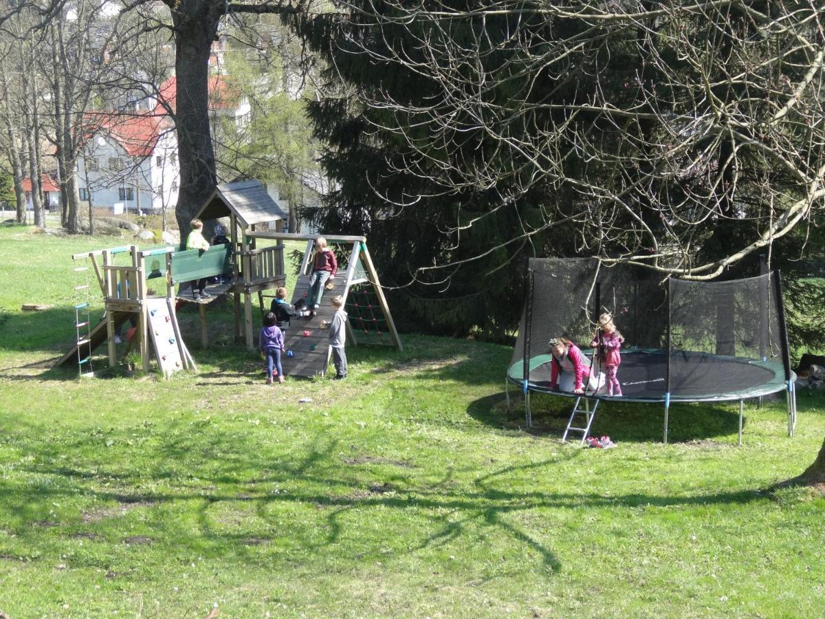 Horska Chata Hubert Bedřichov Exteriör bild